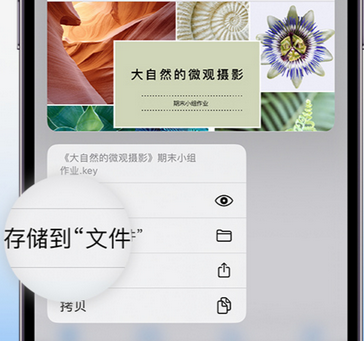 玉屏apple维修中心分享iPhone文件应用中存储和找到下载文件