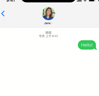 玉屏apple维修iPhone上无法正常发送iMessage信息