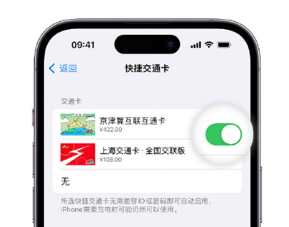 玉屏apple维修点分享iPhone上更换Apple Pay快捷交通卡手绘卡面 