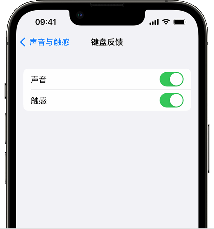 玉屏苹果14维修店分享如何在 iPhone 14 机型中使用触感键盘 