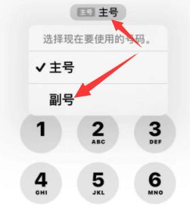 玉屏苹果14维修店分享iPhone 14 Pro Max使用副卡打电话的方法 