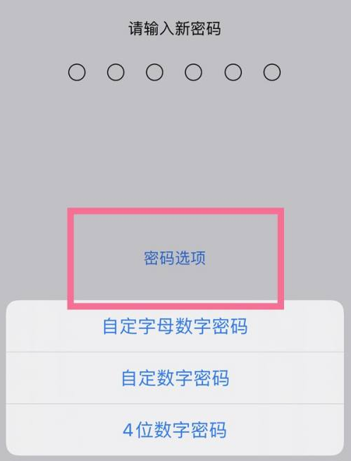 玉屏苹果14维修分享iPhone 14plus设置密码的方法 