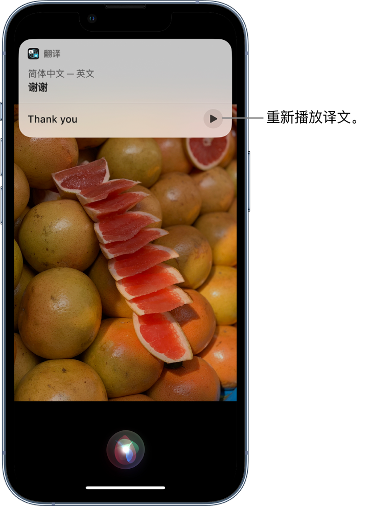 玉屏苹果14维修分享 iPhone 14 机型中使用 Siri：了解 Siri 能帮你做什么 