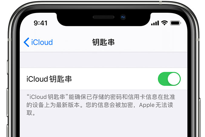 玉屏苹果手机维修分享在 iPhone 上开启 iCloud 钥匙串之后会储存哪些信息 